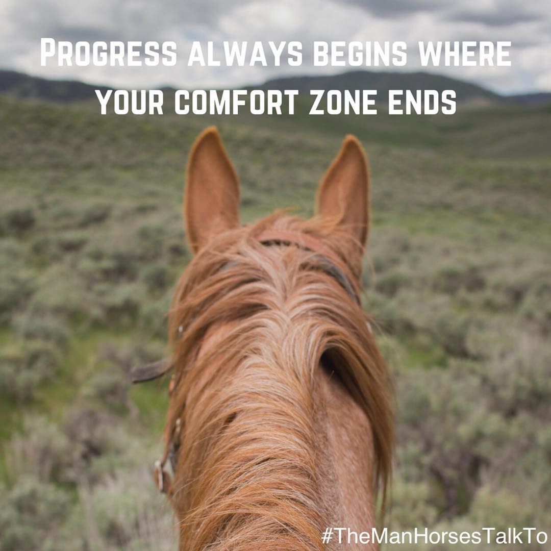 Progress always begins where your comfort zone ends. Horse