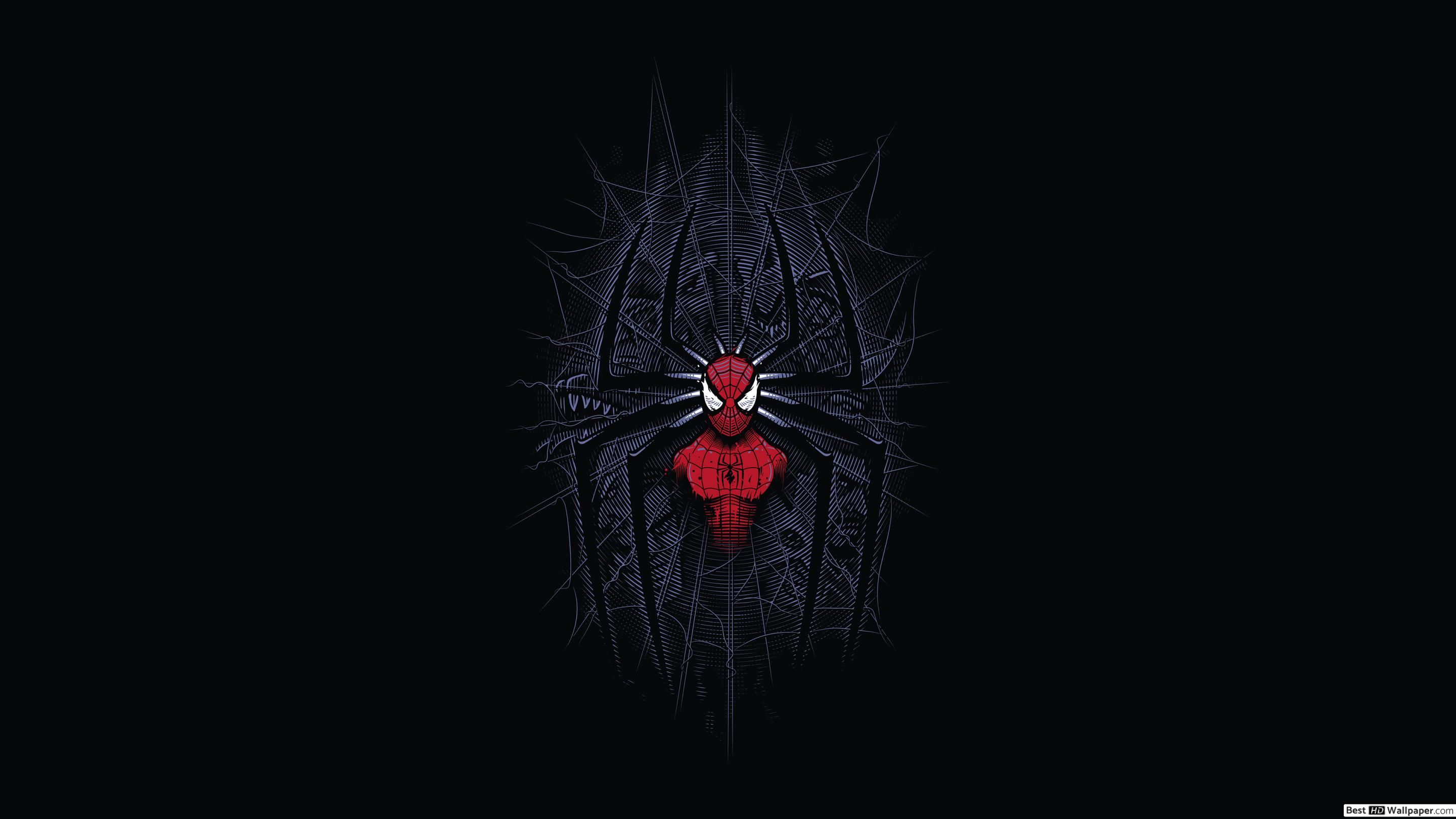 Spider Man Minimalist HD Wallpaper Download