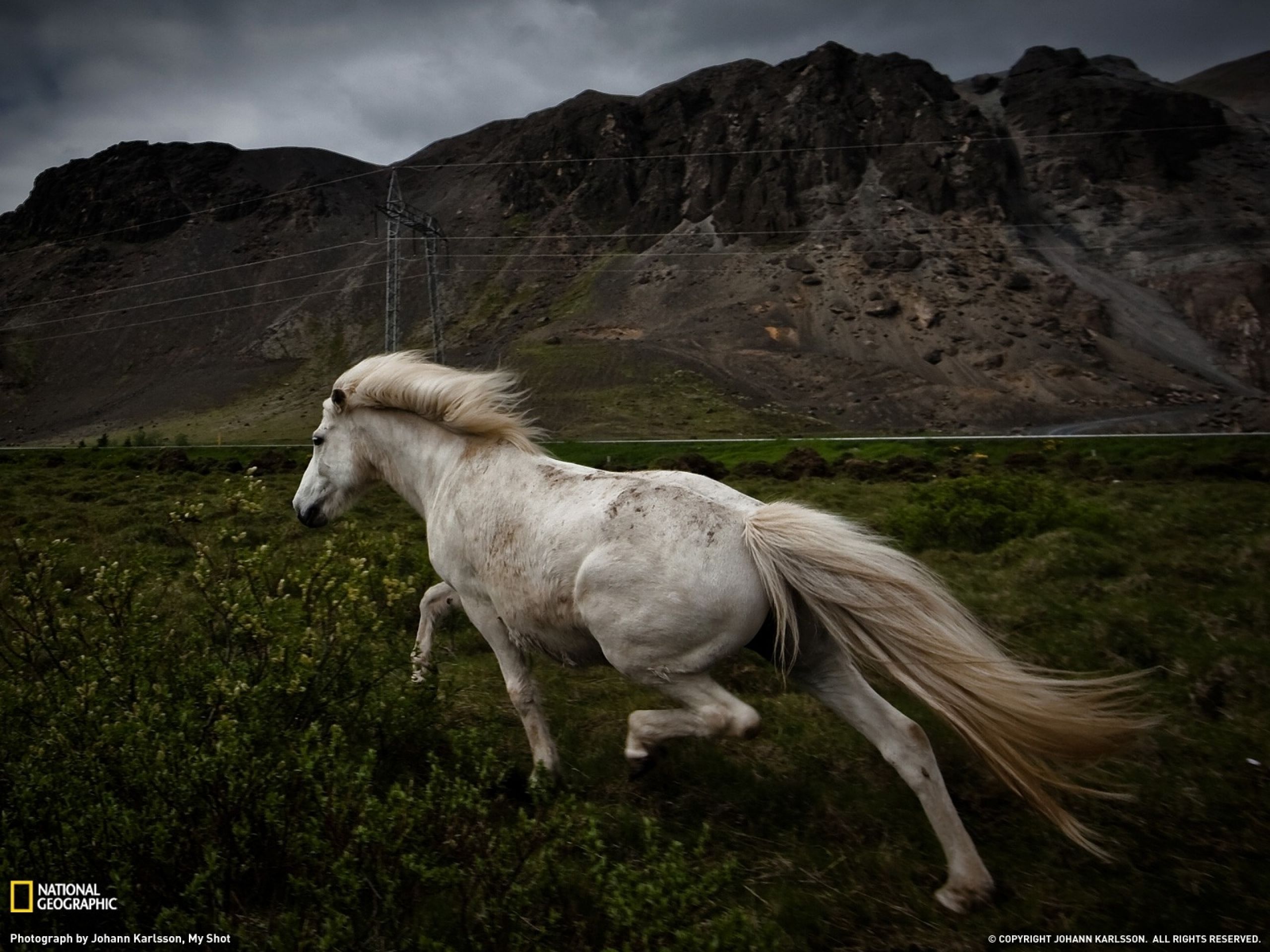 Mountains Landscape & Horse Wallpaper And