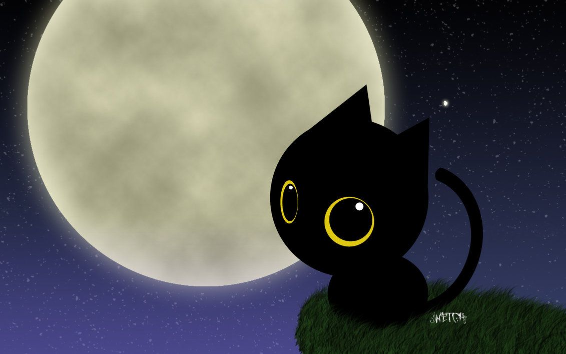 Free download Black Cat and Moon [1131x707] for your Desktop