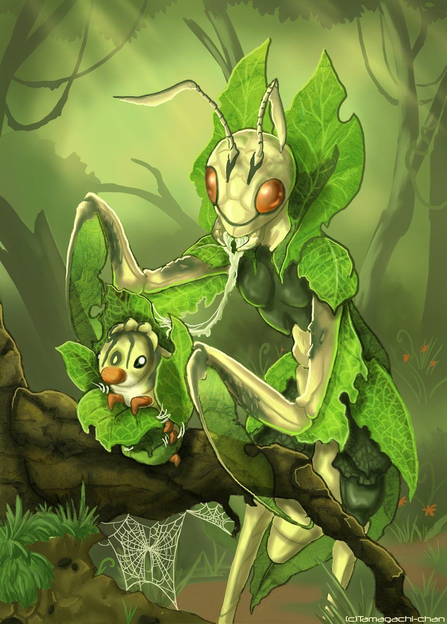 Leavanny HD Wallpaper