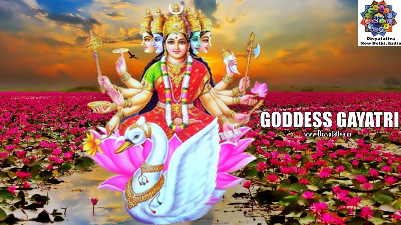 Divyatattva Astrology Free Horoscopes Psychic Tarot Yoga Tantra Occult Image Videos, Goddess Gayatri HD Wallpaper Gayatri Devi Mantra Picture