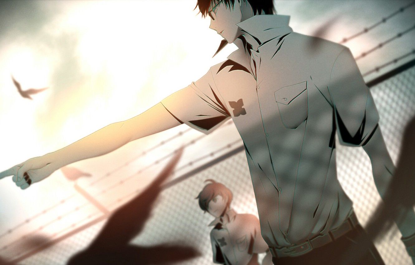 Wallpaper birds, Anime, mesh., Zankyou no Terror, hisami touji