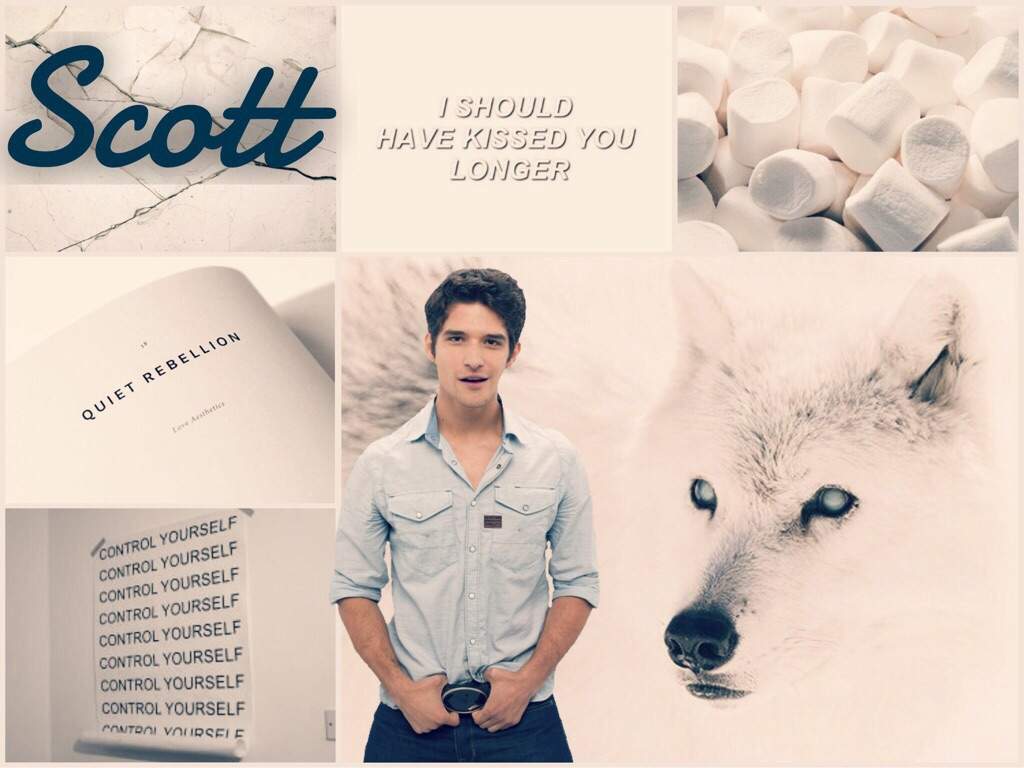 Aesthetic Challenge. Teen Wolf Amino