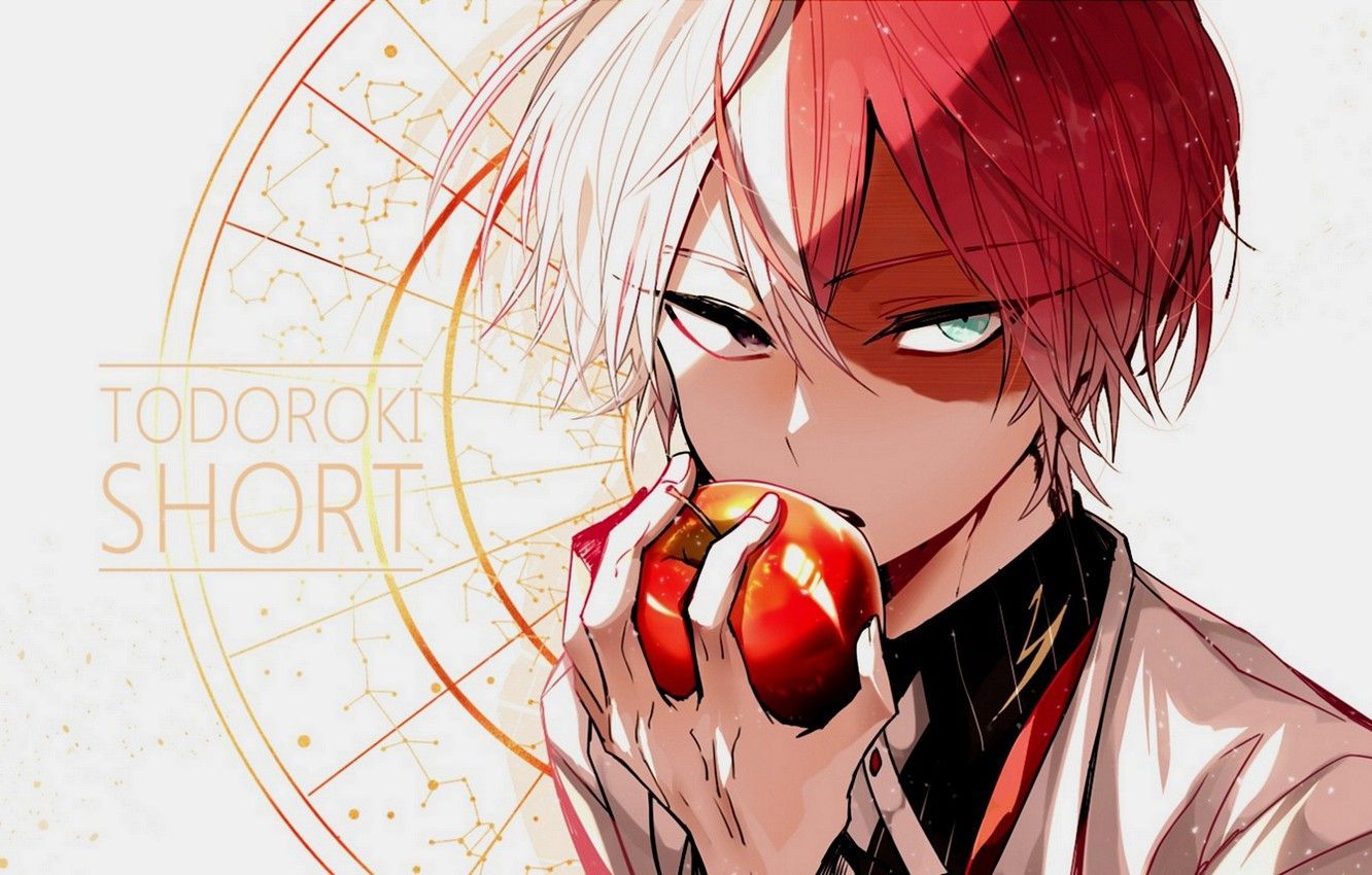 My Hero Academia Todoroki Wallpaper Free My Hero Academia
