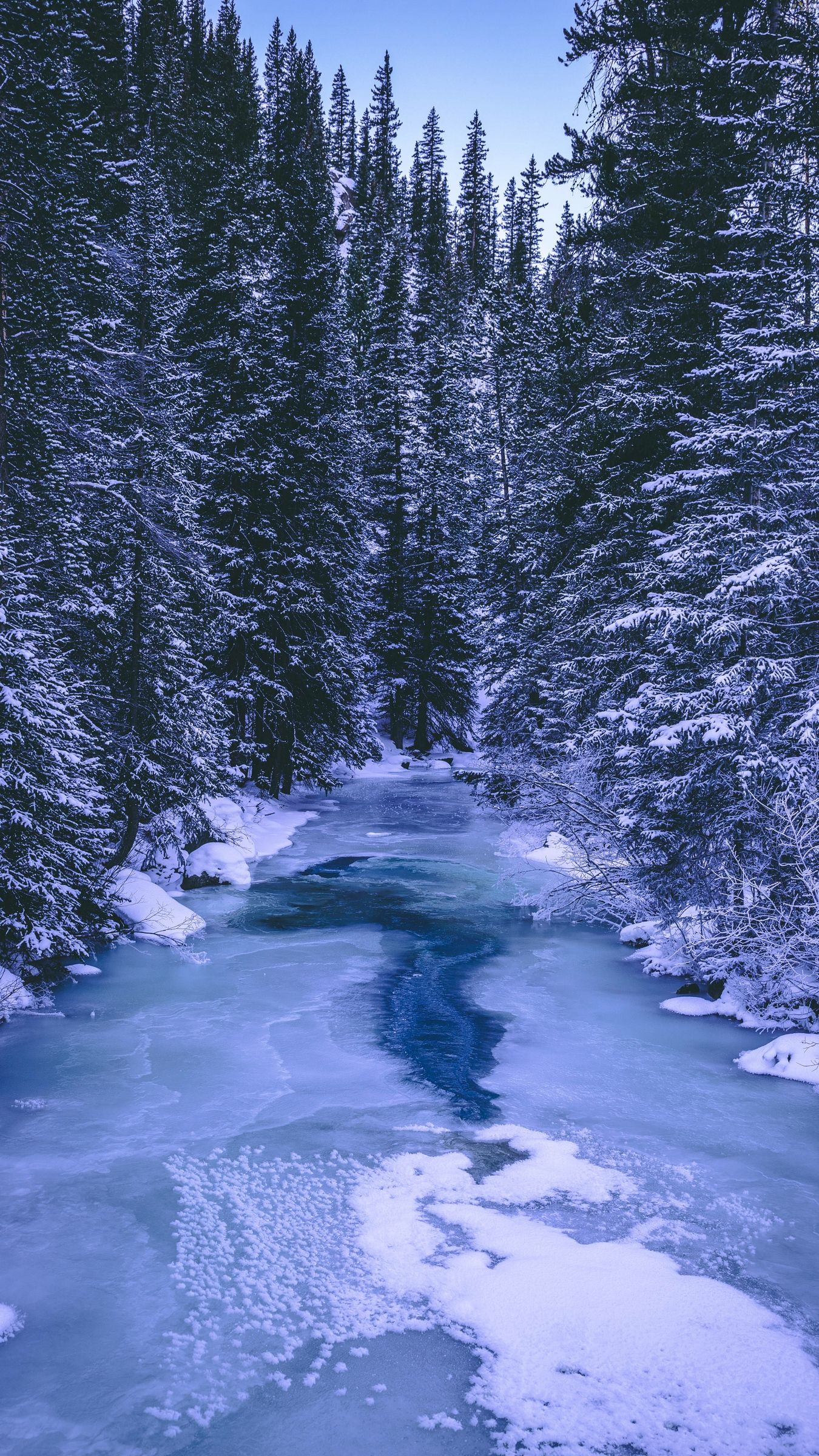 Download wallpapers 1350x2400 forest, winter, river, snow, ice