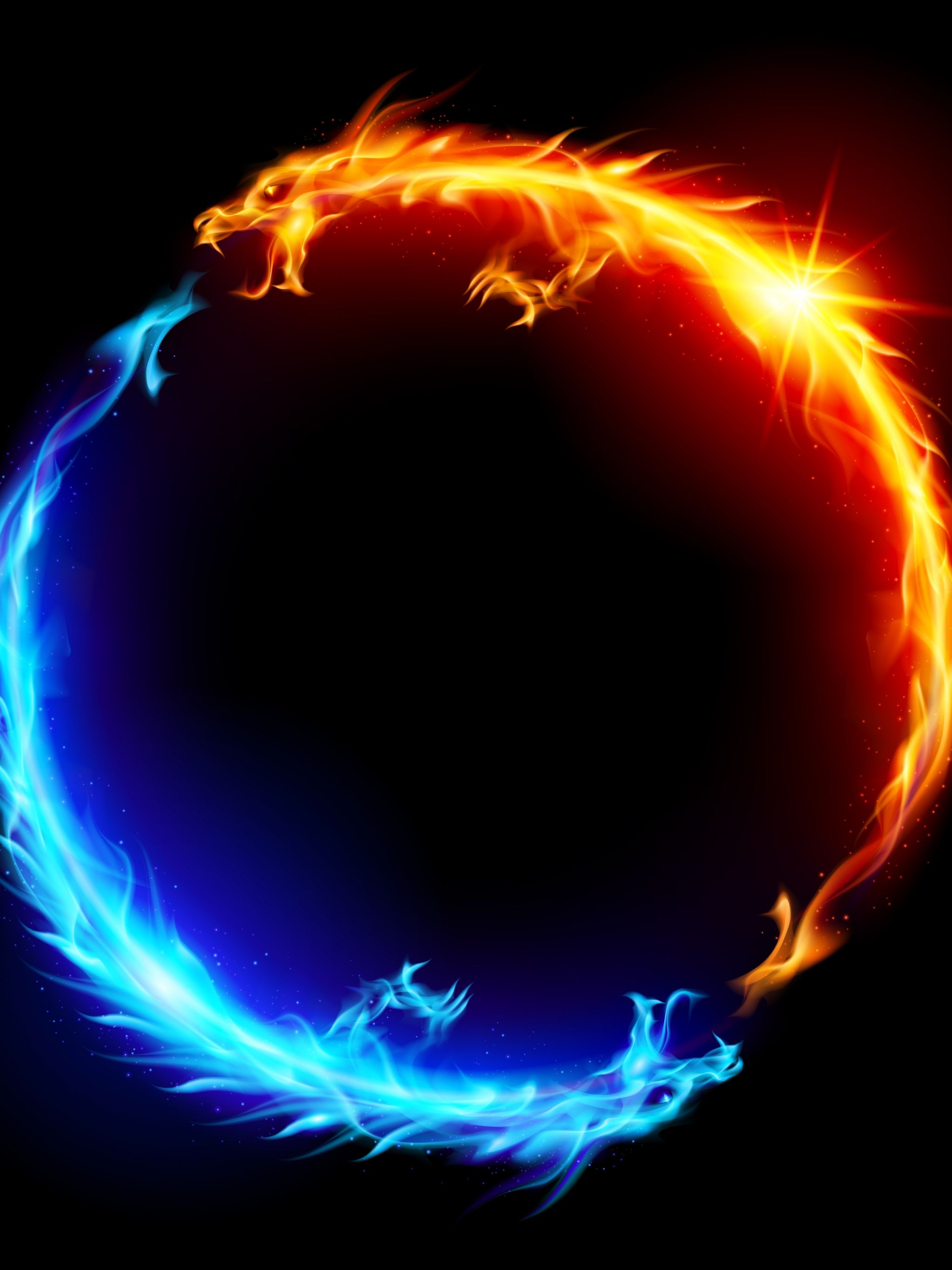 Free download Blue and red fire Dragons Stephen Josephs 5000x5000