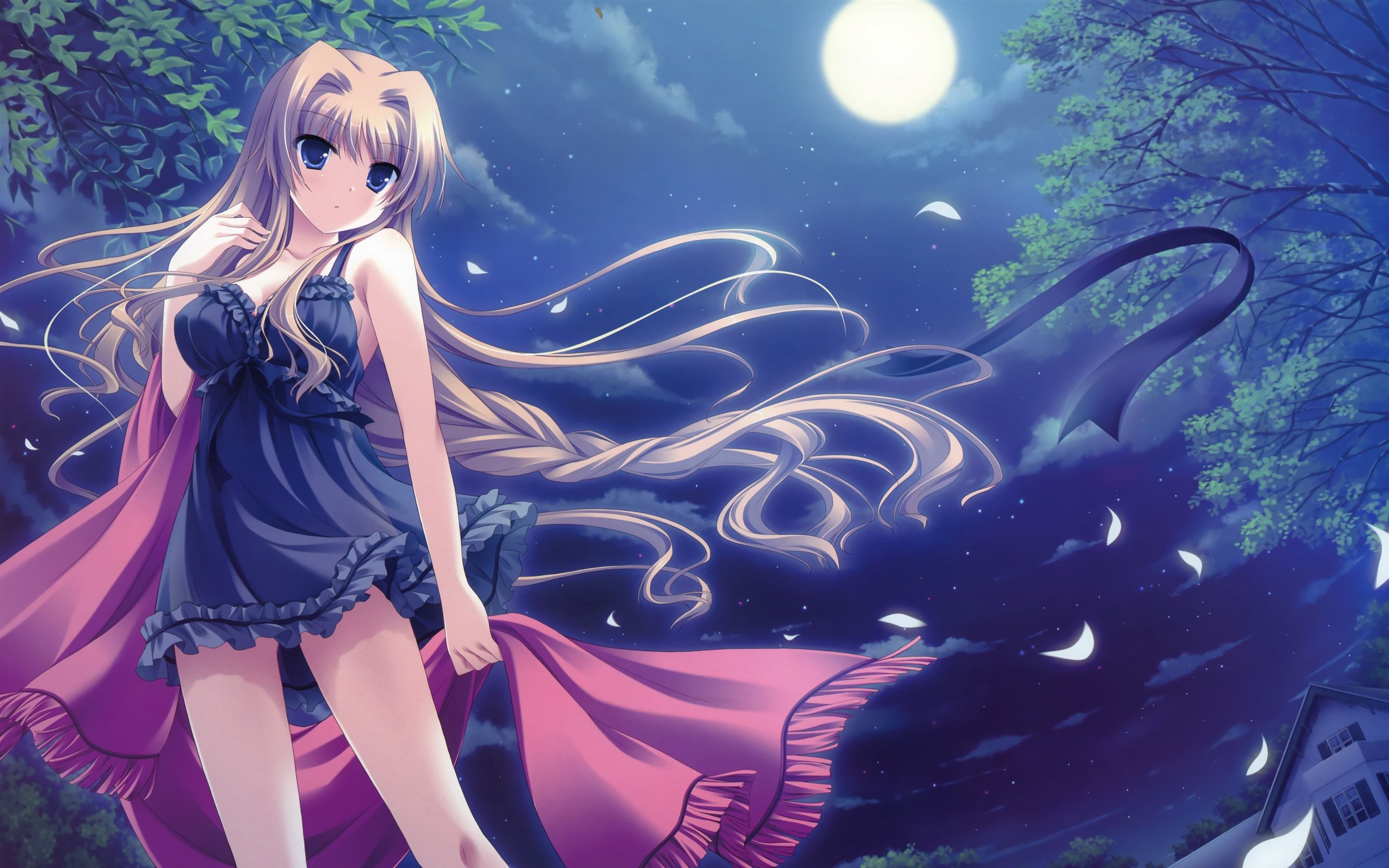 Wallpaper Blonde anime girl, night, moon 2880x1800 HD Picture, Image