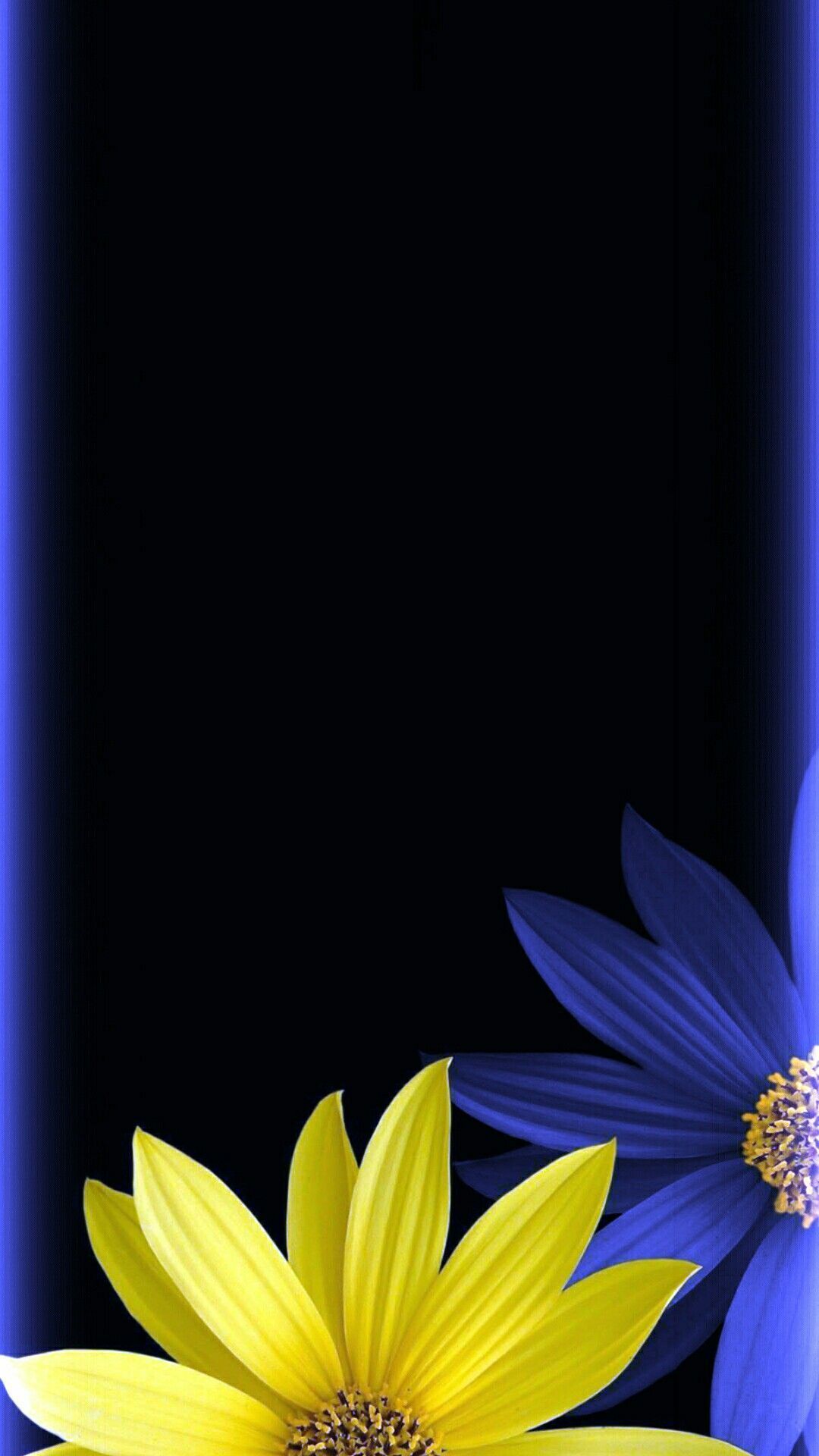 Blue yellow black floral wallpaper J5 Wallpaper, Flower Phone