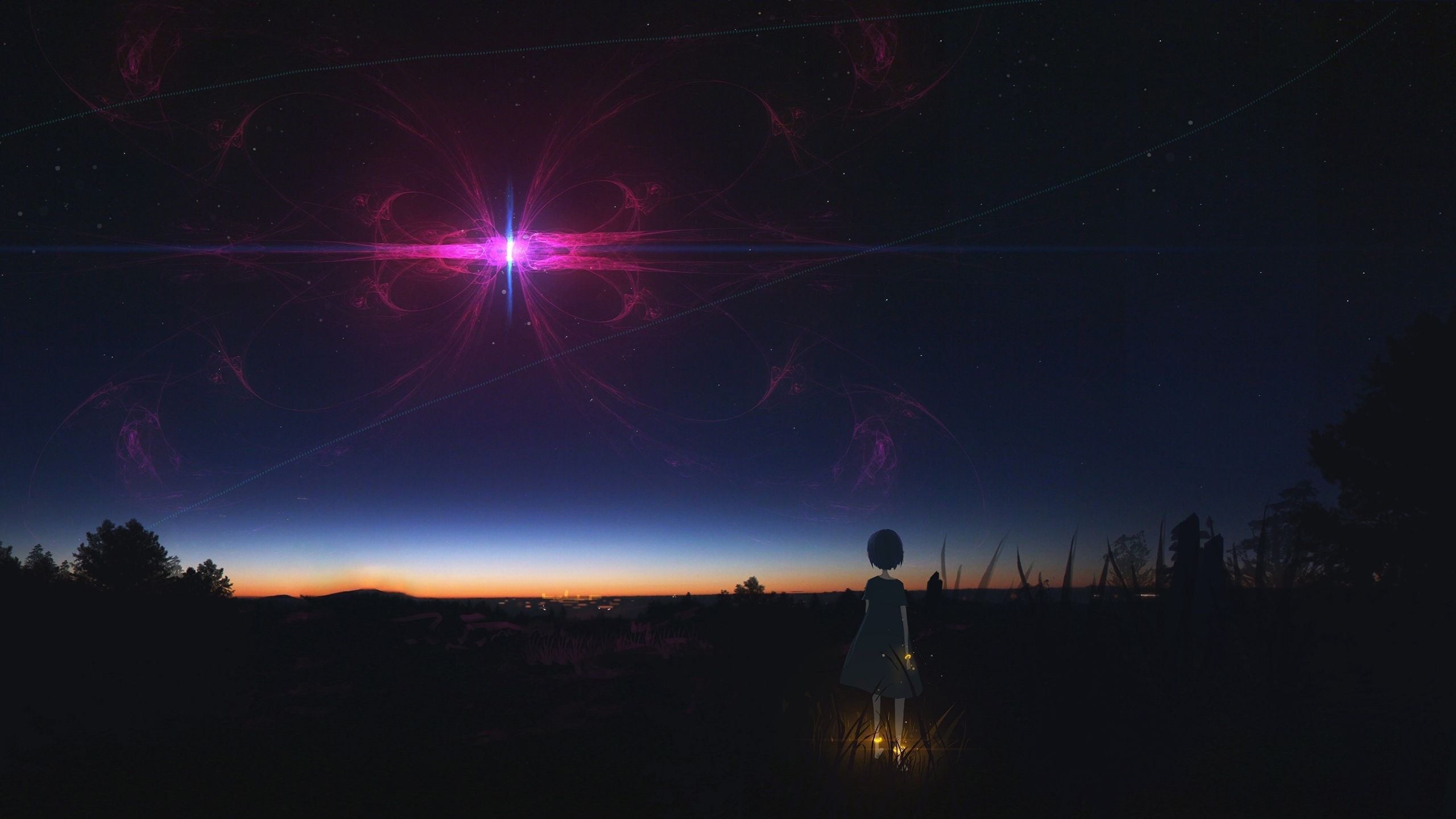 Anime Girl Staring At Night Sky 1440P Resolution
