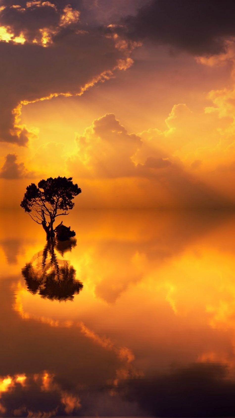 Sunset Seascape Tree Reflection 4K Ultra HD Mobile Wallpaper