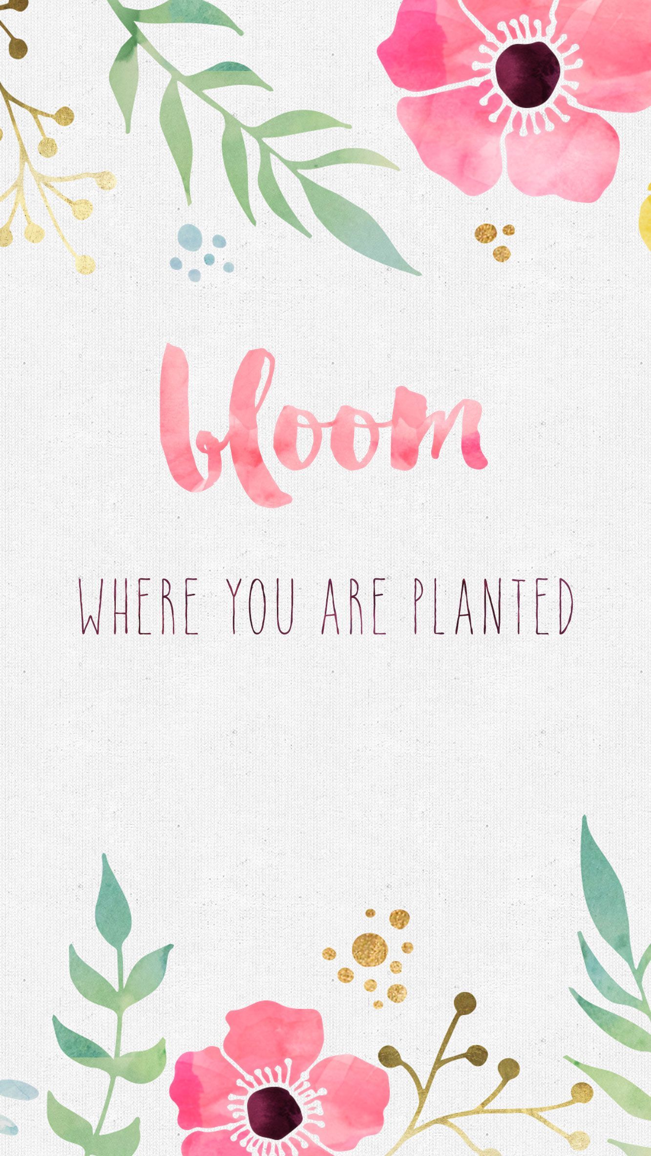 Free Desktop Wallpaper Where you are Planted. Spring wallpaper, iPhone wallpaper, Floral wallpaper