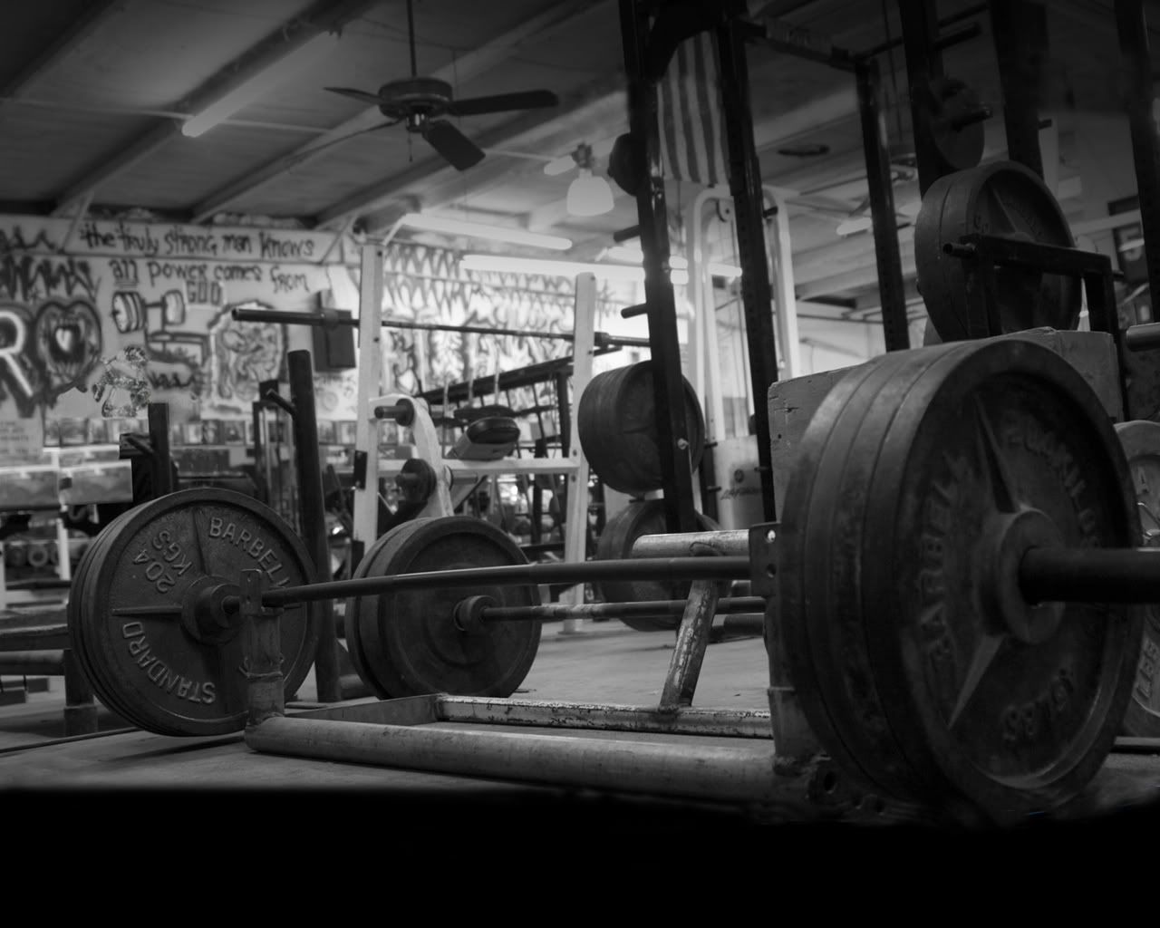 Free download Showing Gallery For Weight Lifting Wallpaper