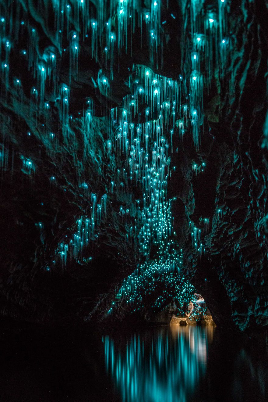 Glow Worms Turn New Zealand Cave Into Starry Night And I Spent