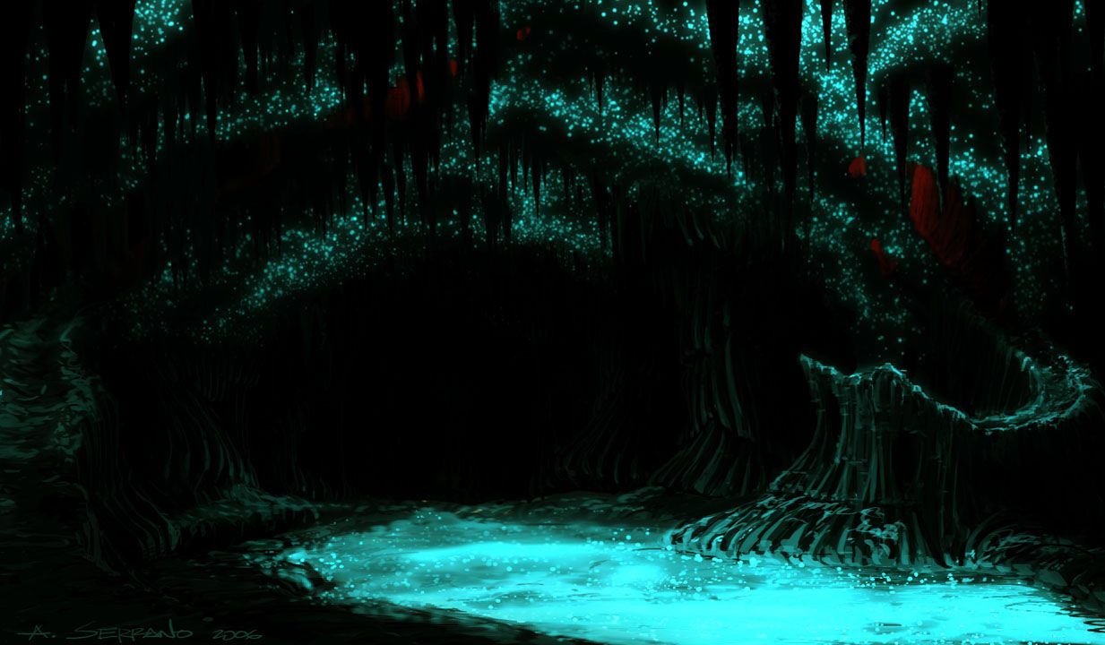 New Zealand's Glow Worm Caves.com Travel Blog