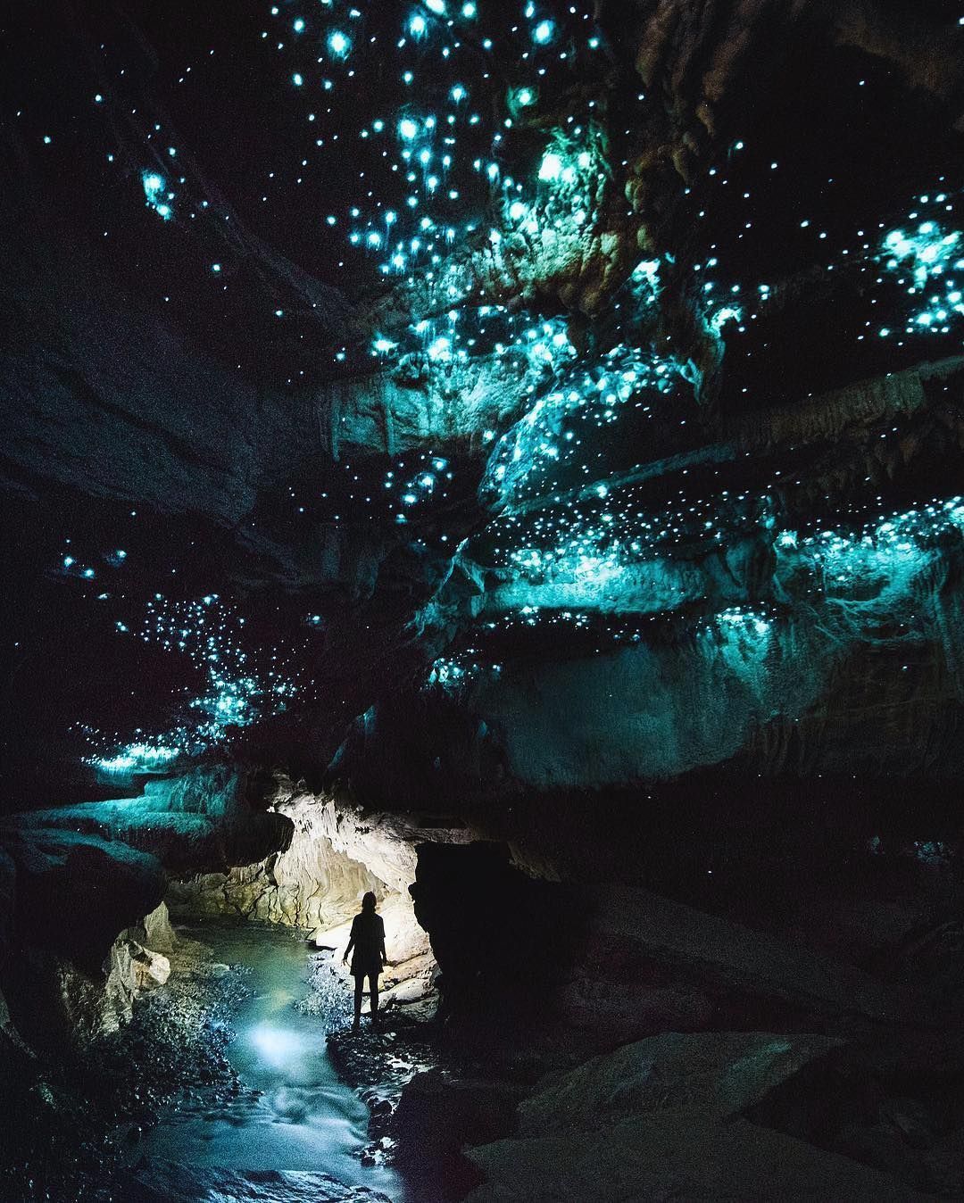 Glow Worm Caves in Waitomo, NZ