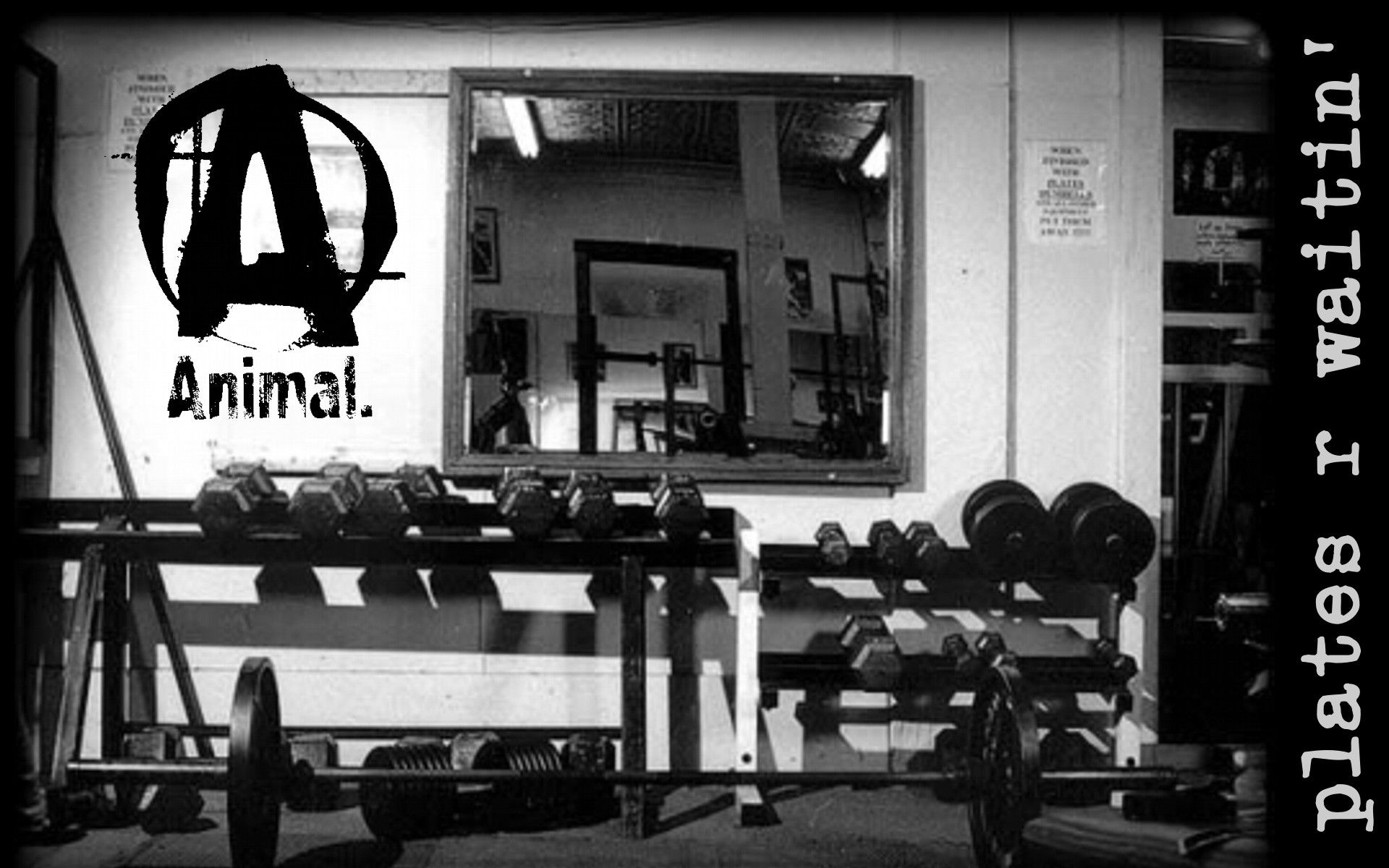 Weight Lifting Wallpaper