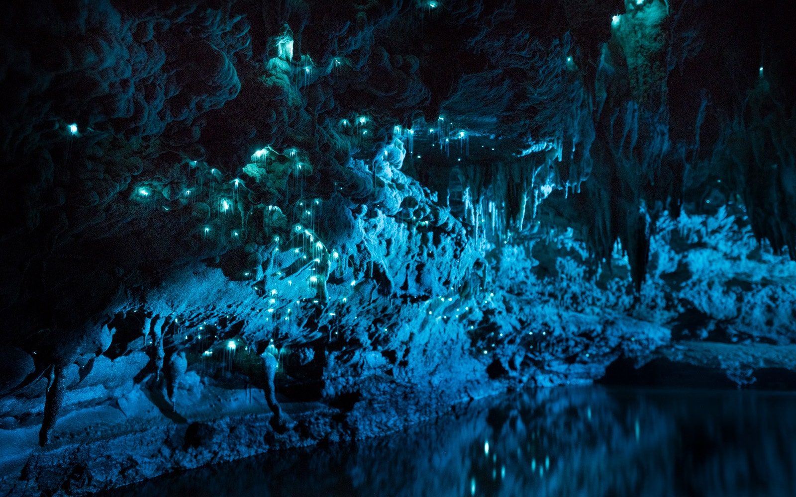 Carnivorous Glowworms Turn Caves Into Stunning Starscapes