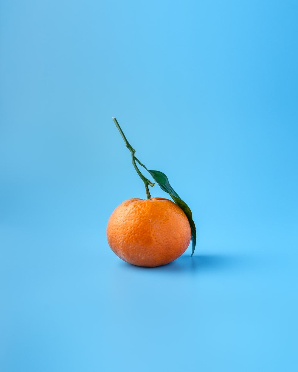 Orange Wallpaper: Free HD Download [HQ]