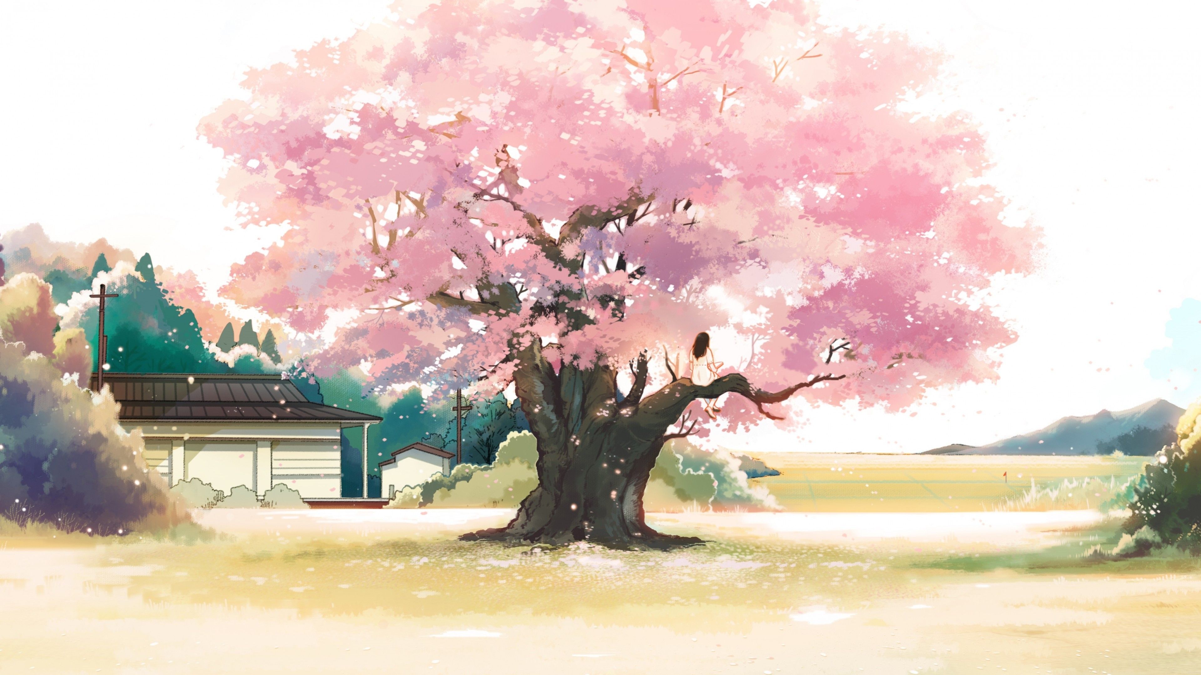 Pink Anime Tree Wallpapers - Wallpaper Cave