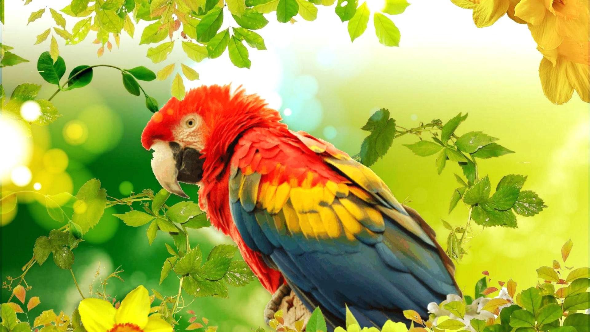 Perico, Scarlet Macaw, Bird, Beak, Eclectus Parrot