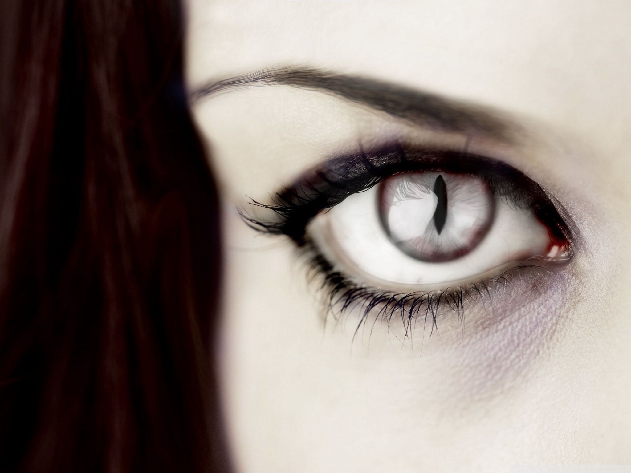 Vampire Eye Ultra HD Desktop Background Wallpaper for 4K UHD TV