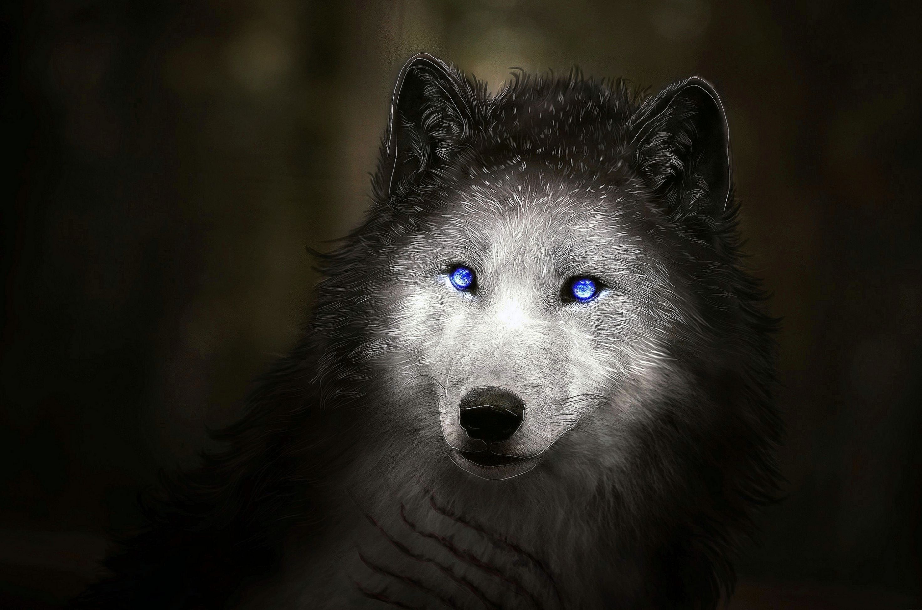white wolf with purple eyes