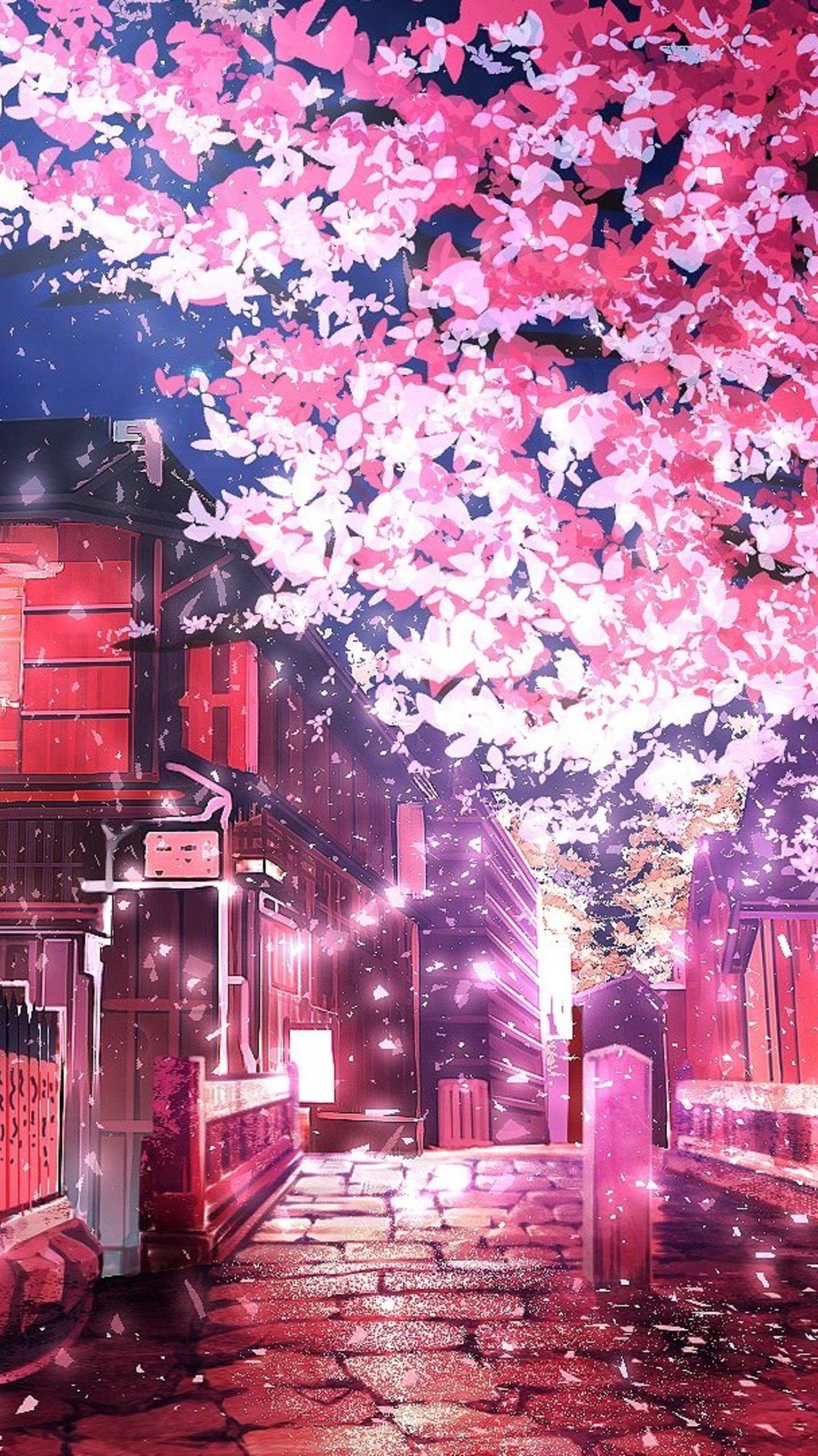 Cherry Tree Anime HD Wallpaper (1440x2560)