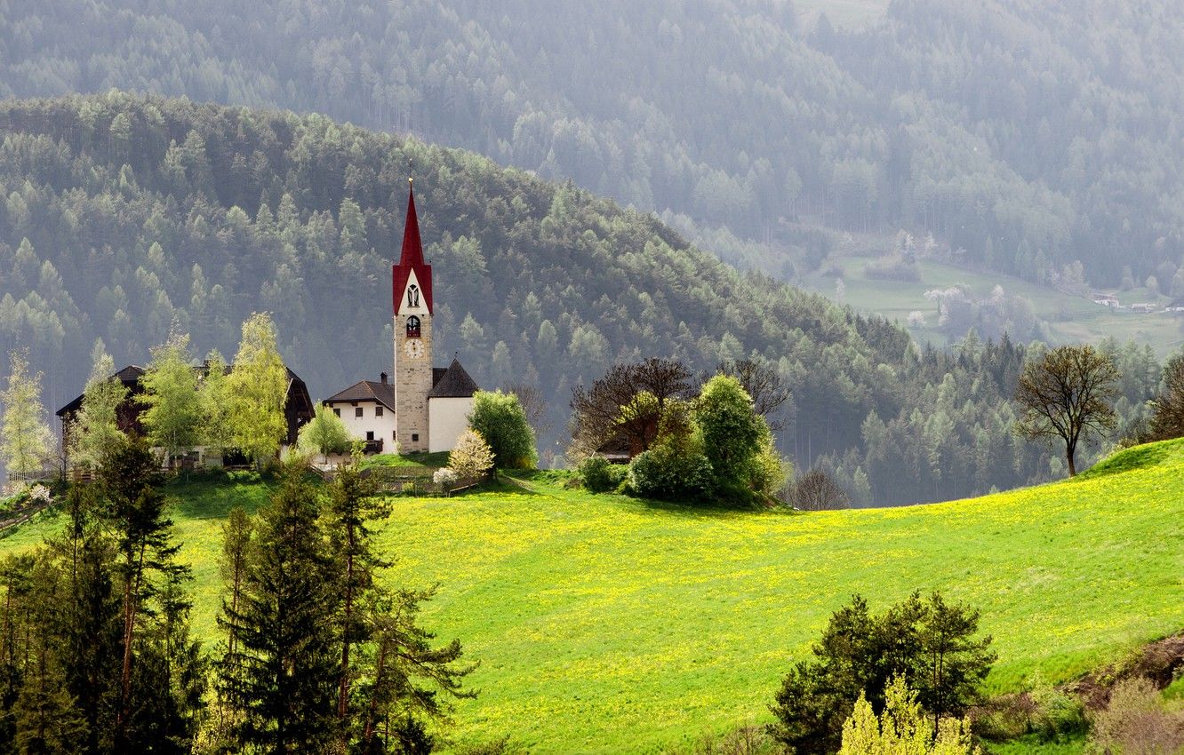 Wallpaper forest, grass, mountains, nature, home, spring, chapel