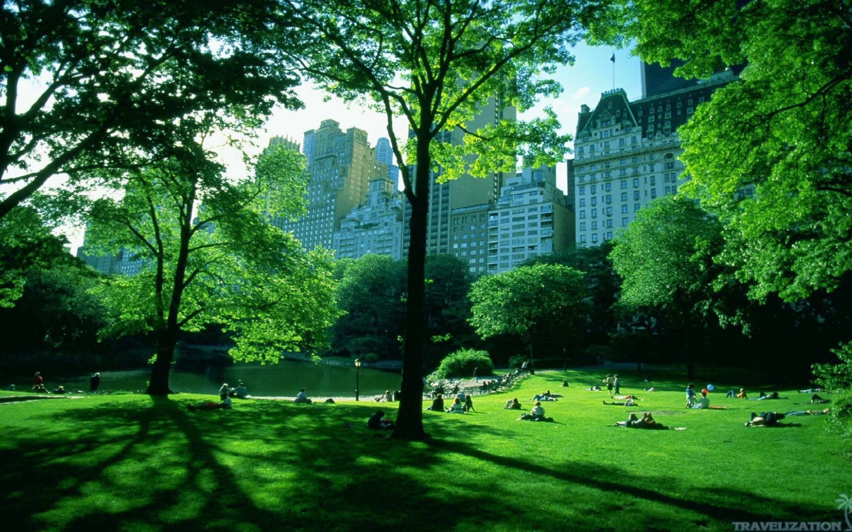 Free download Central Park In Winter Season New York Wallpaper