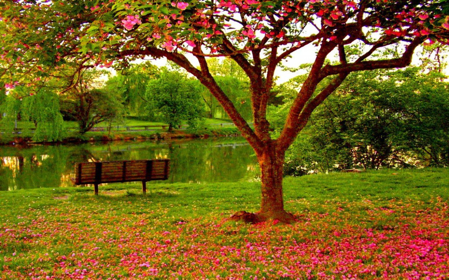 Park In Spring Desktop Background wallpapers HD free - 495207