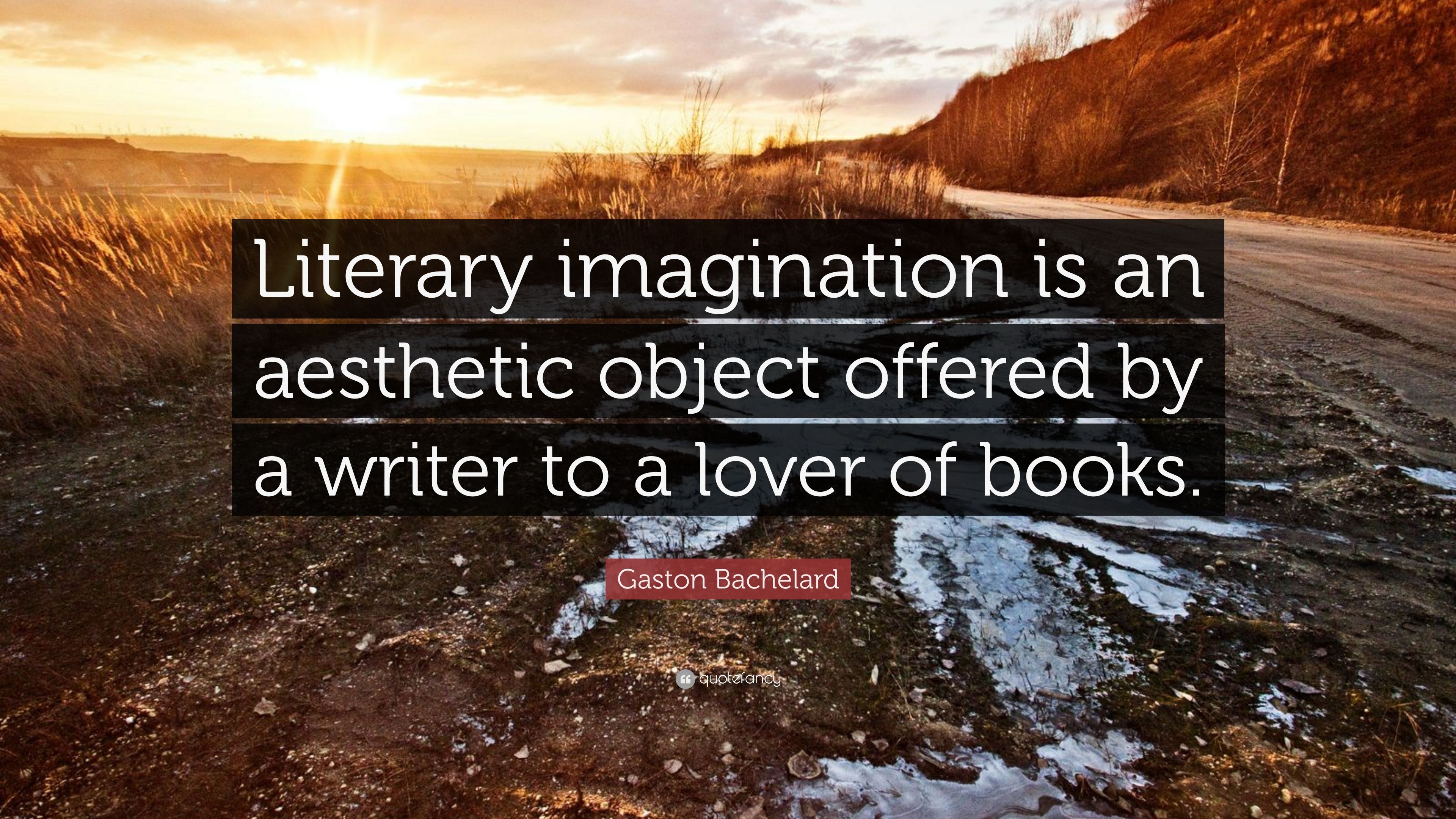 Gaston Bachelard Quote: “Literary imagination is an aesthetic