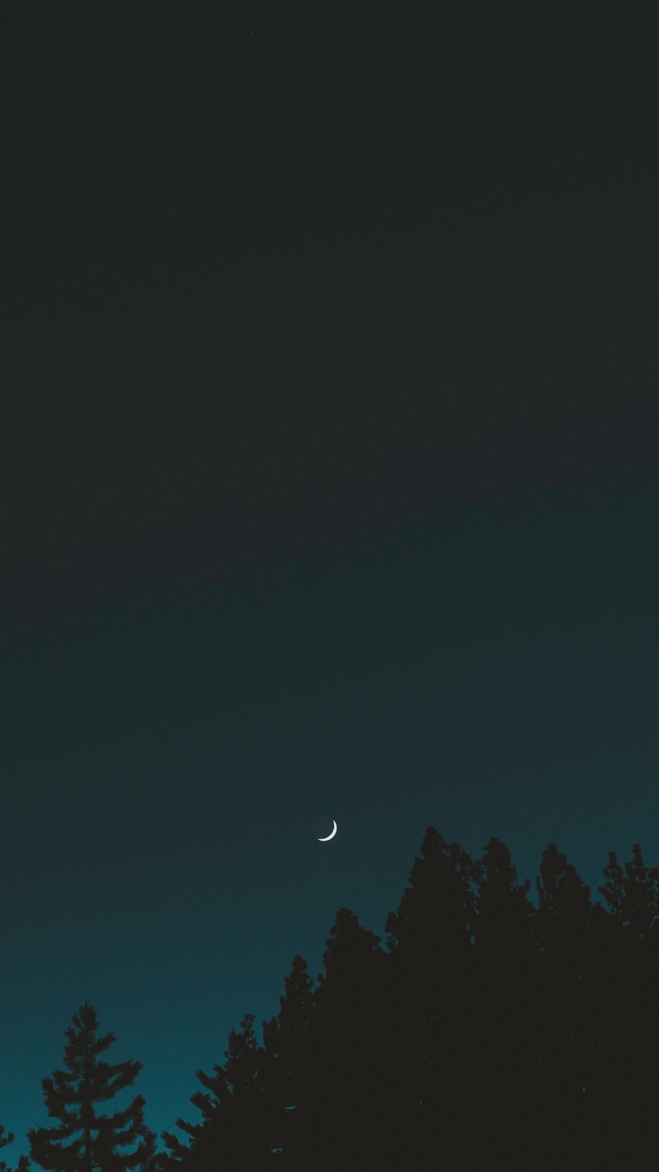 Download wallpaper 1350x2400 moon, sky, night, trees, crescent