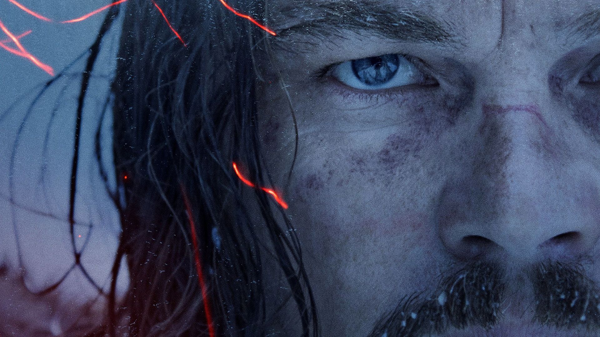 The Revenant Movie 2016, HD Movies, 4k Wallpaper, Image