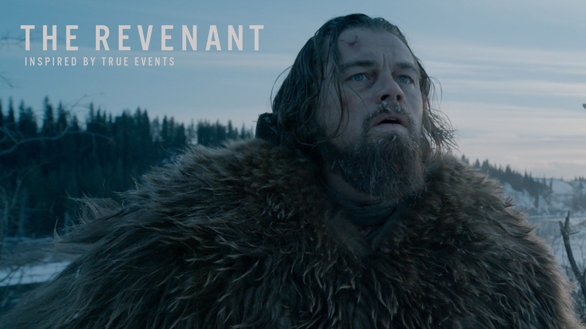 The Revenant HD Wallpaperwallpaper.net