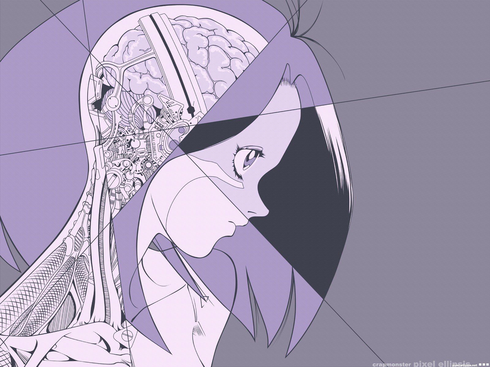 anime, Battle Angel Alita, Anatomy, Brains, Gally Wallpaper HD