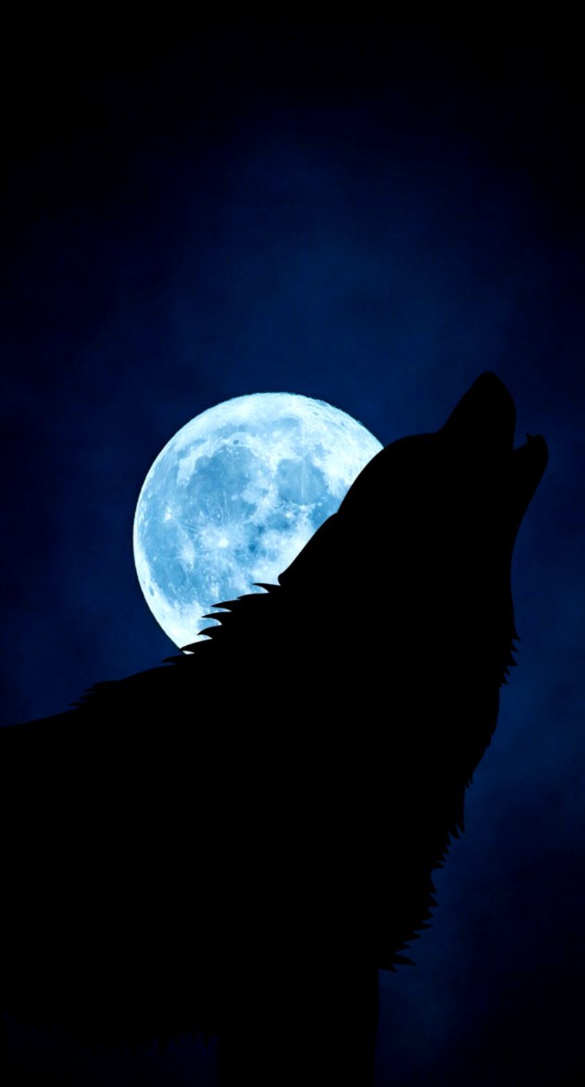 Download Wallpaper Wolf Silhouette Moon Night iPhone