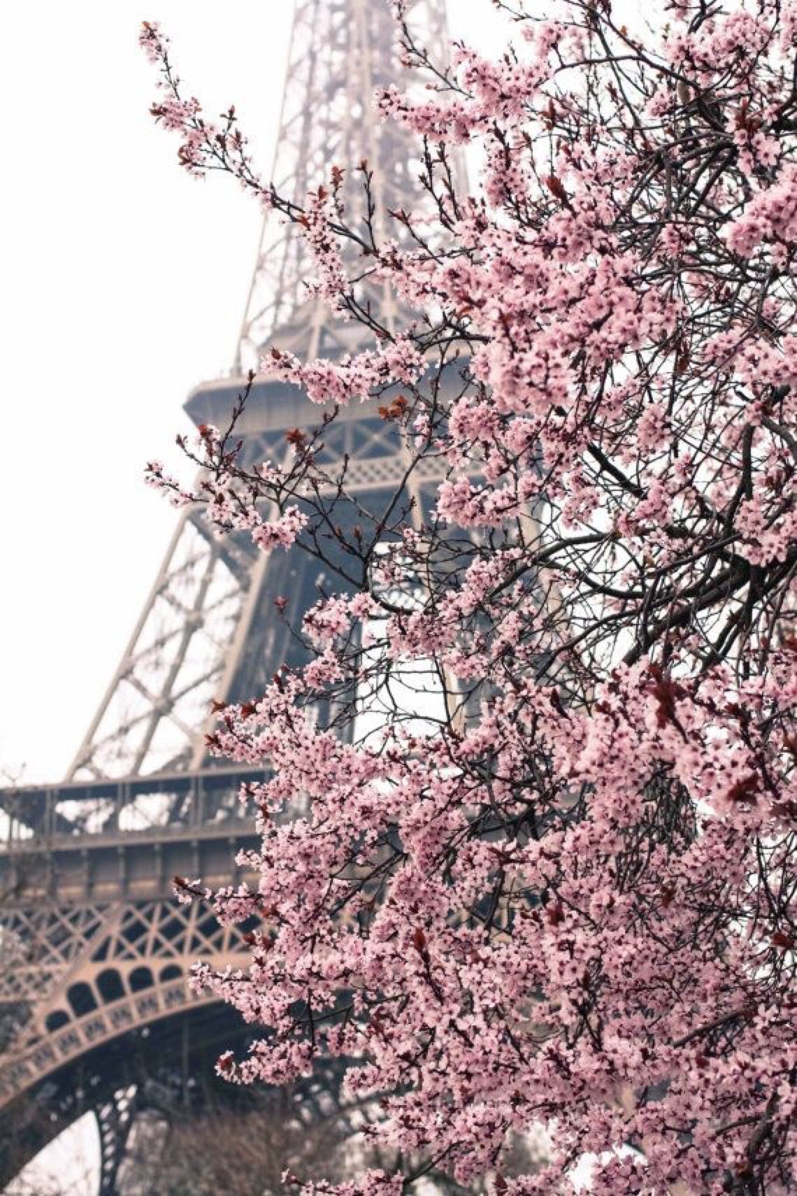 iPhone Wallpaper. Paris photography, Paris, Eiffel tower