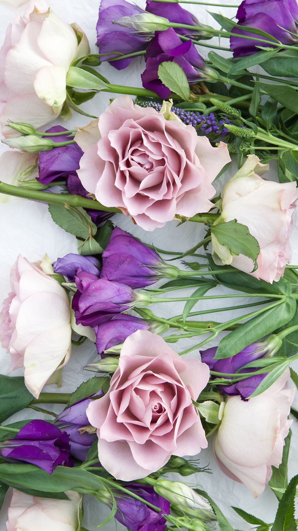 Mother's Day Flowers and Free Phone Wallpaper featuring Debenhams