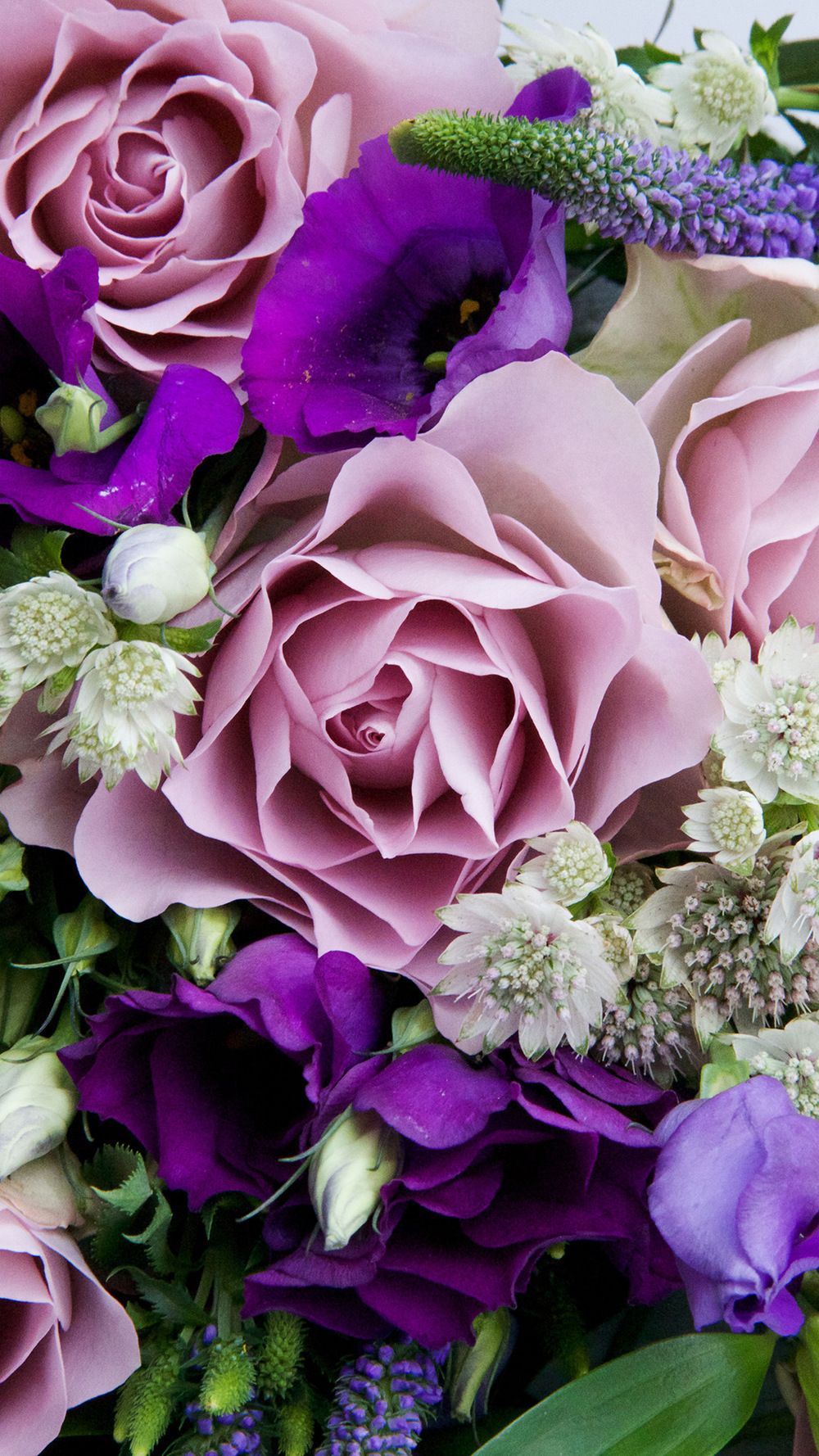 Mother's Day Flowers and Free Phone Wallpaper featuring Debenhams • Capture