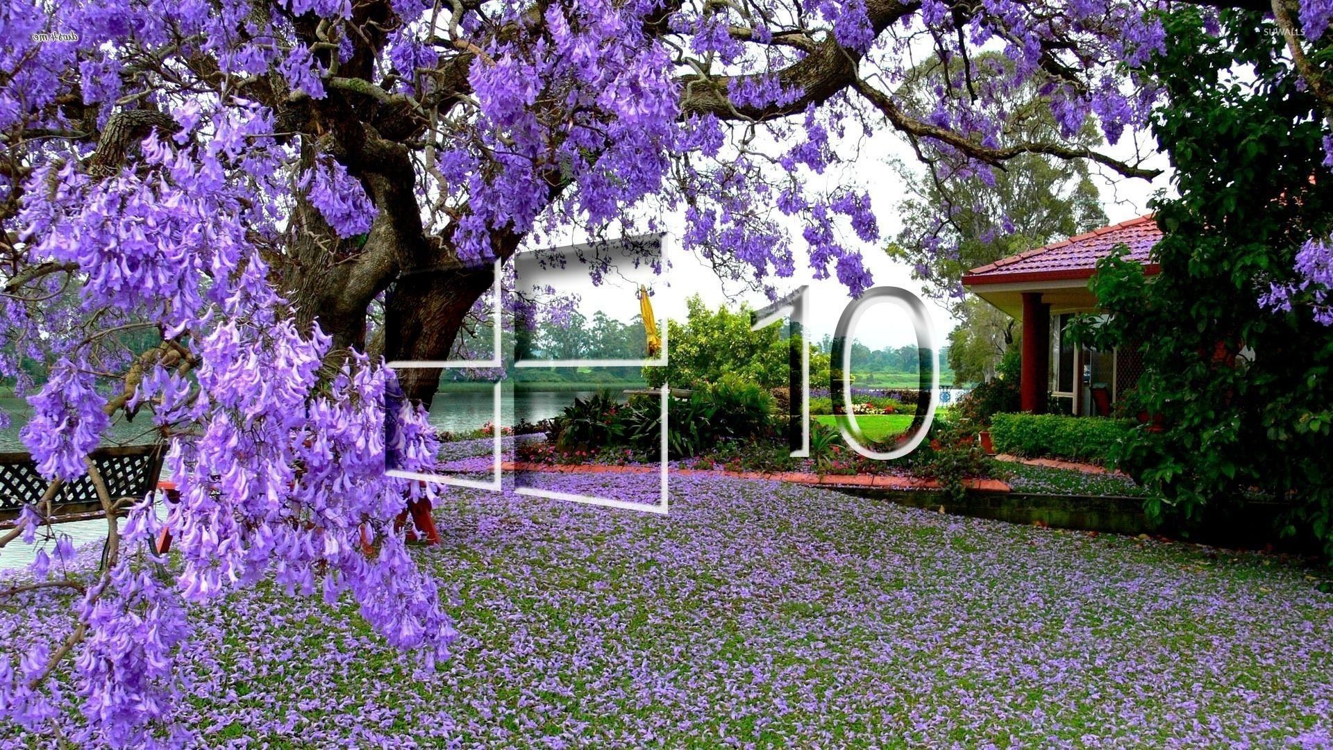 Windows 10 on the purple blossoms [4] wallpaper