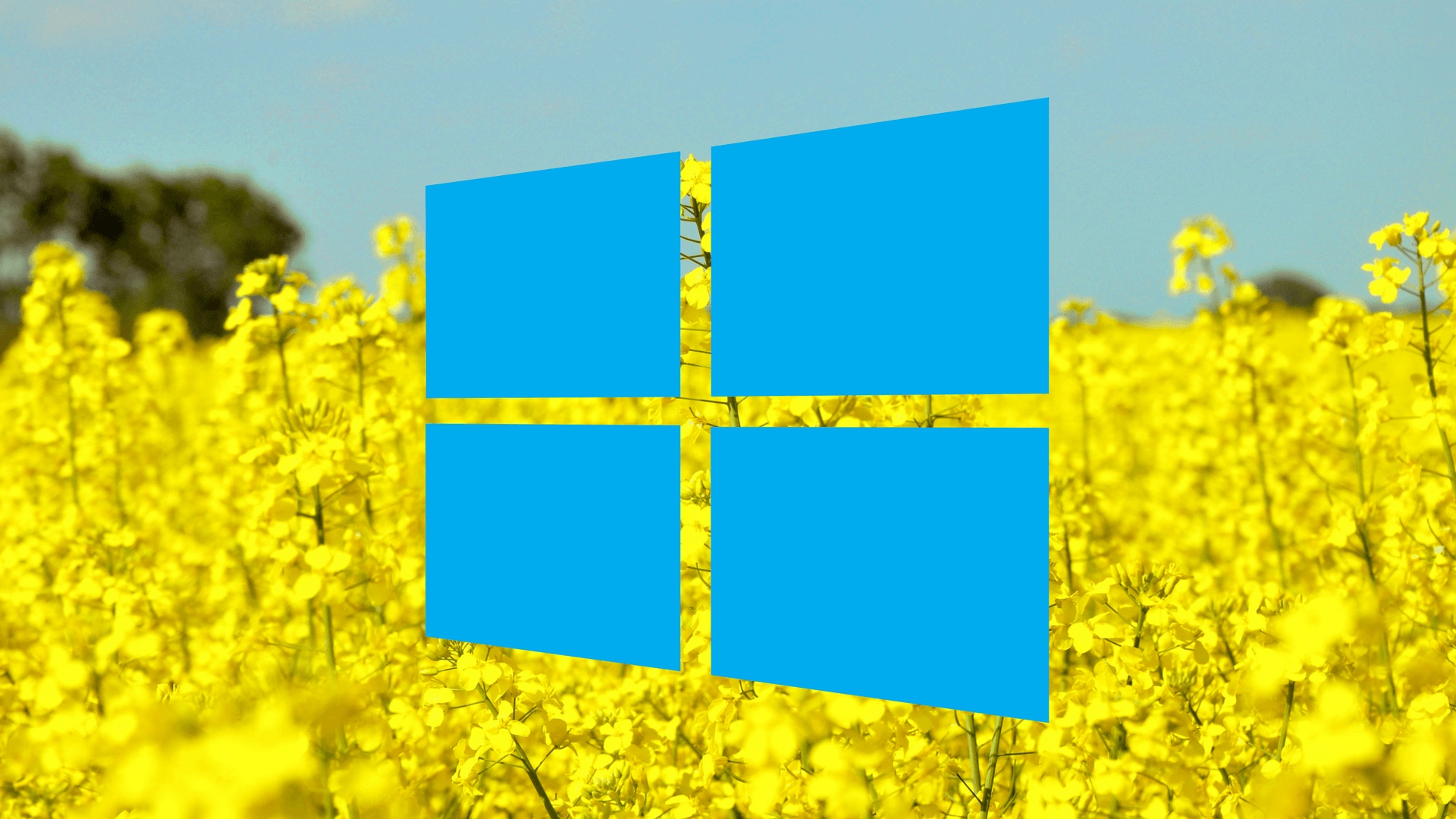 Spring Discount: Microsoft Windows 10 Permanent Authorized Key