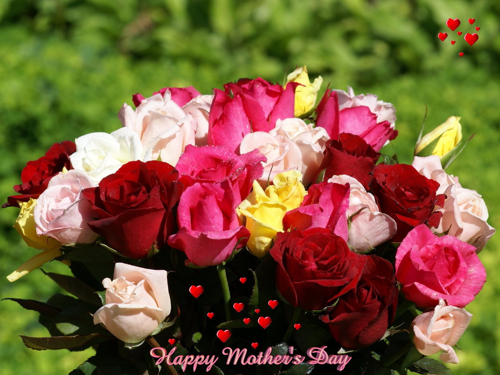 Mothers Day wallpaper beautiful flowers