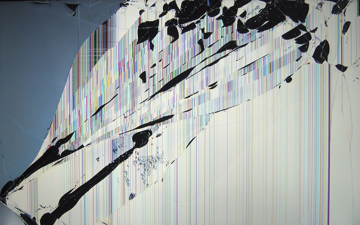 Zendha: Cracked Screen Wallpaper Computer