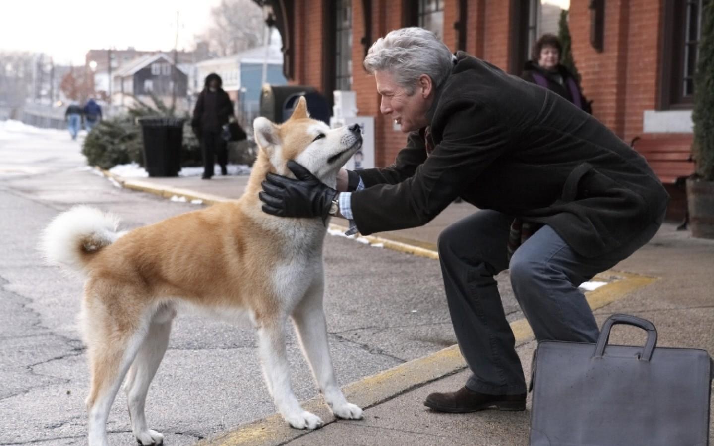 watch hachi a dogs tale free