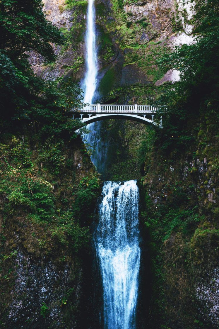 nature, Water, Bridge, Trees, Waterfall HD Wallpaper / Desktop and Mobile Image & Photo