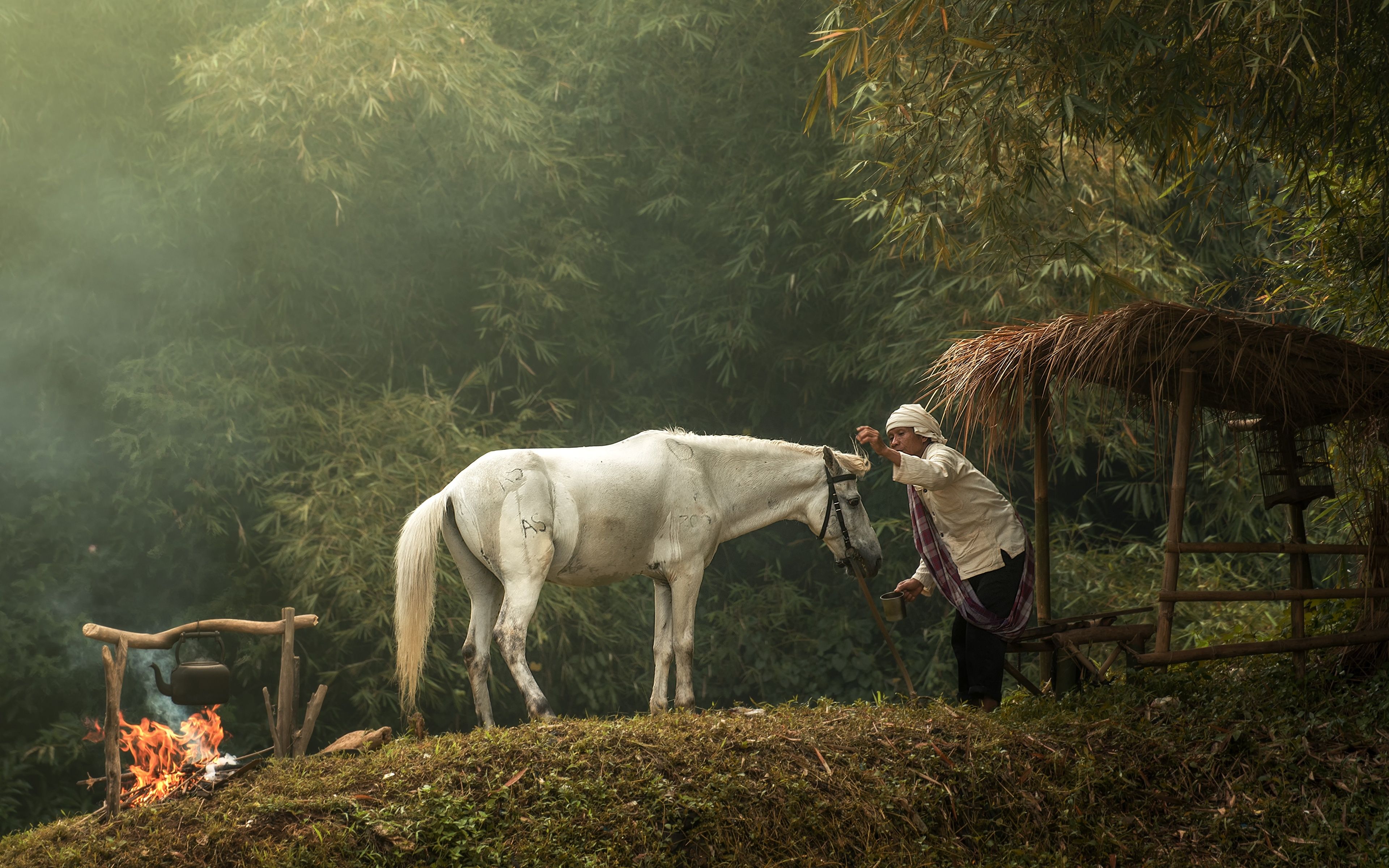 Picture Horses Old woman Bonfire White flame Asian Animals 3840x2400