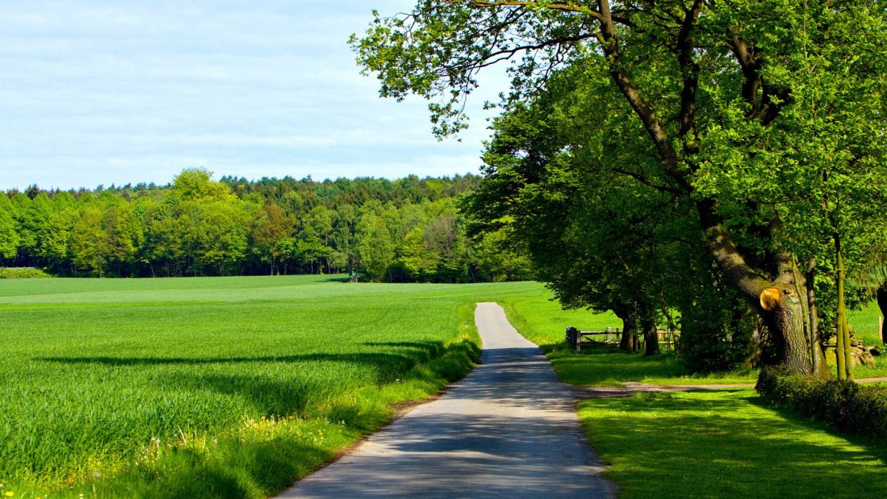 Summer road woods green crops landscape wallpaperx1080