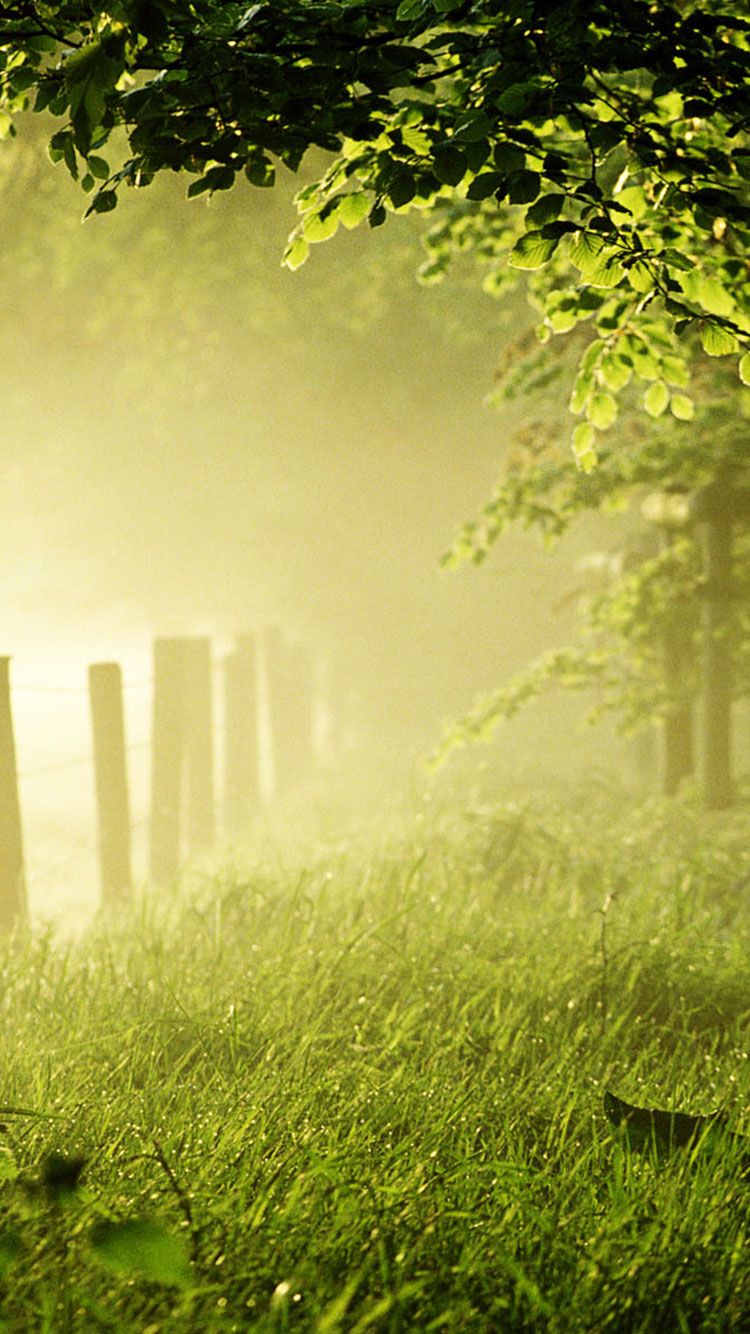 Free download 25 Summer iPhone Wallpaper [750x1334]