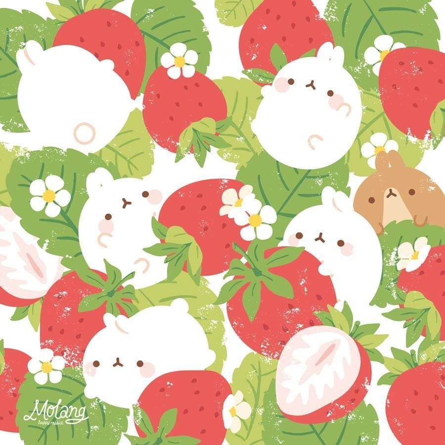 Molang with strawberries. Bunny wallpaper, Kawaii drawings, Cute